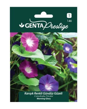 Genta - Karışık Renkli Gündüz Güzeli Tohumu 4gr Genta - Karışık Renkli Gündüz Güzeli Tohumu 4gr