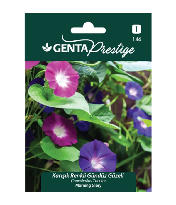 Genta - Karışık Renkli Gündüz Güzeli Tohumu Genta - Karışık Renkli Gündüz Güzeli Tohumu