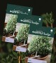Genta - Aromatik Kekik Tohumu Genta - Aromatik Kekik Tohumu