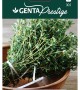 Genta - Aromatik Kekik Tohumu Genta - Aromatik Kekik Tohumu
