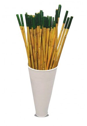 Genta - Bitkiler İçin Bambu Destek Çubuğu - 120 cm