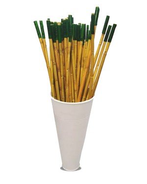Genta - Bitkiler İçin Bambu Destek Çubuğu - 150 cm