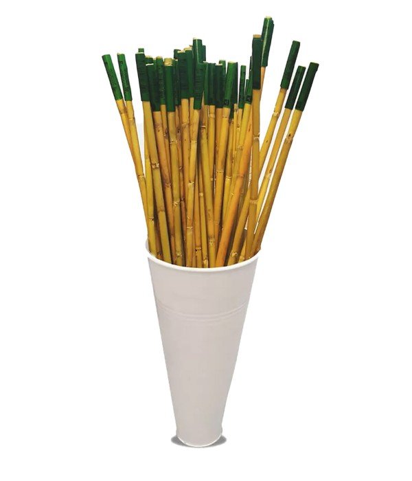 Genta - Bitkiler İçin Bambu Destek Çubuğu - 180 cm Genta - Bitkiler İçin Bambu Destek Çubuğu - 180 cm