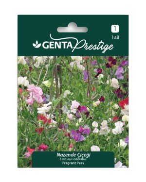 Genta - Nazende Çiçeği Tohumu 1gr