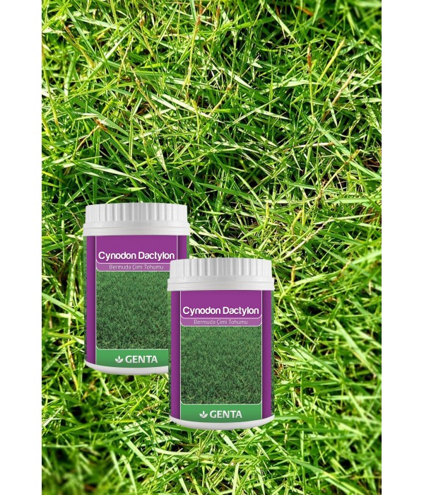 Genta - Bermuda Çim Tohumu Genta - Bermuda Çim Tohumu