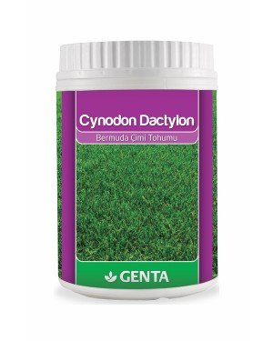 Genta - Bermuda Çim Tohumu