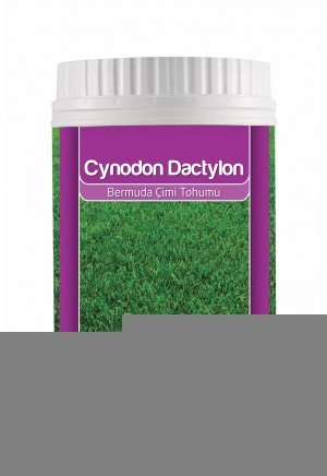 Genta - Bermuda Çim Tohumu