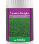 Genta - Bermuda Çim Tohumu Genta - Bermuda Çim Tohumu