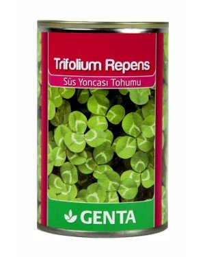 Genta - Beyaz Yonca Çim Tohumu – Trifolium Repens 250 gr