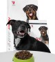 Enjoy Yetişkin Köpekler İçin 15 kg Biftekli Kuru Mama - ENJ - 09 Enjoy Yetişkin Köpekler İçin 15 kg Biftekli Kuru Mama - ENJ - 09