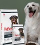 Enjoy Yetişkin Köpekler İçin 15 kg Biftekli Kuru Mama - ENJ - 09 Enjoy Yetişkin Köpekler İçin 15 kg Biftekli Kuru Mama - ENJ - 09