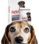 Reflex Yavru Köpek İçin 10 kg Kuzu Etli ve Pirinçli Kuru Mama - RFL - 113 Reflex Yavru Köpek İçin 10 kg Kuzu Etli ve Pirinçli Kuru Mama - RFL - 113