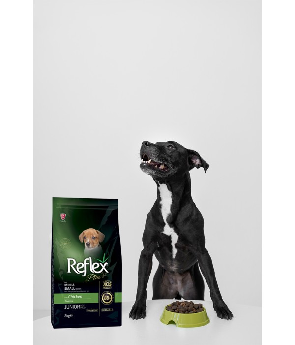 Reflex Plus Mini Küçük Irklar İçin 3 kg Tavuklu Yavru Köpek Maması - RFX - 101 Reflex Plus Mini Küçük Irklar İçin 3 kg Tavuklu Yavru Köpek Maması - RFX - 101
