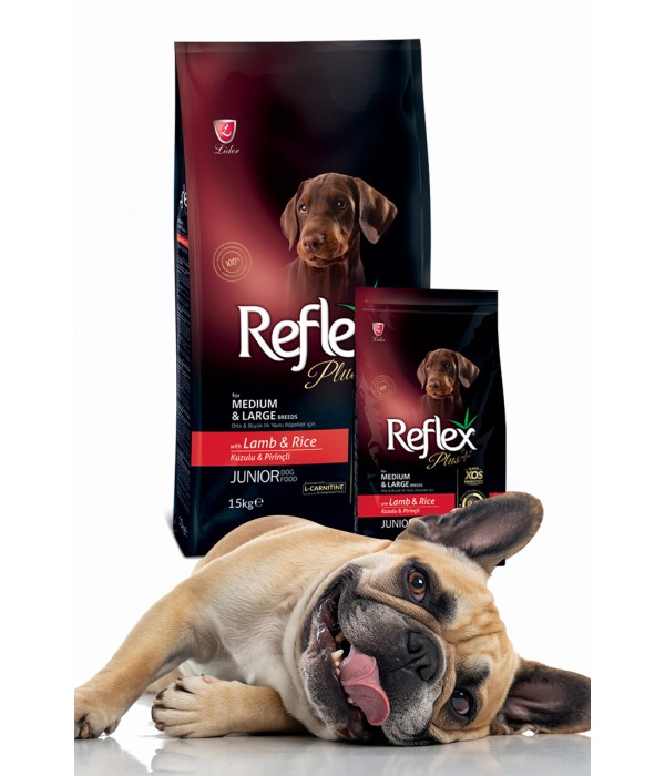 Reflex Plus Orta Büyük Irk Yavru Köpek İçin 3 kg Kuzu Etli Pirinçli Kuru Mama - RFX - 102 Reflex Plus Orta Büyük Irk Yavru Köpek İçin 3 kg Kuzu Etli Pirinçli Kuru Mama - RFX - 102