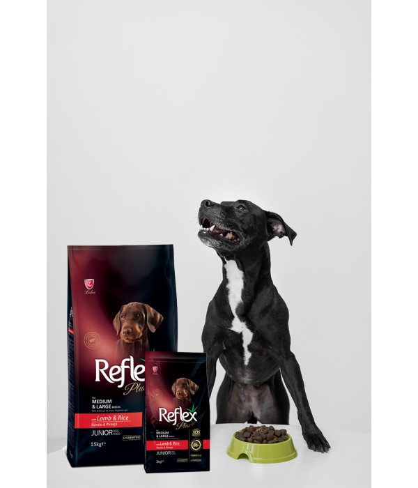 Reflex Plus Orta Büyük Irk Yavru Köpek İçin 3 kg Kuzu Etli Pirinçli Kuru Mama - RFX - 102 Reflex Plus Orta Büyük Irk Yavru Köpek İçin 3 kg Kuzu Etli Pirinçli Kuru Mama - RFX - 102