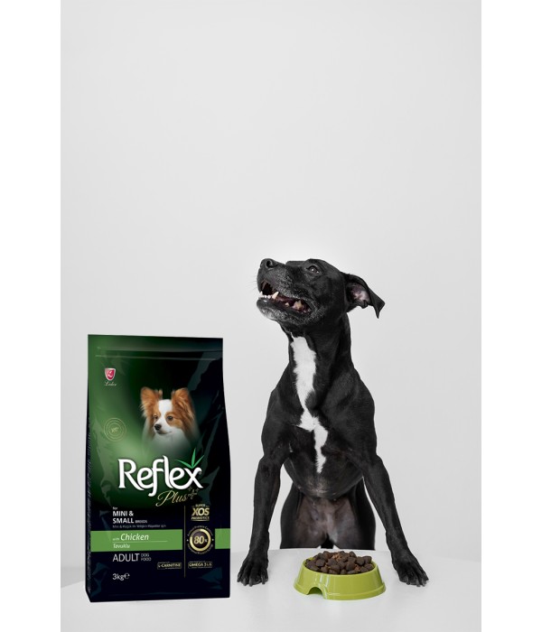 Reflex Plus Mini Küçük Irk Yetişkin Köpekler İçin 3 Kg Tavuklu Kuru Mama - RFX - 103 Reflex Plus Mini Küçük Irk Yetişkin Köpekler İçin 3 Kg Tavuklu Kuru Mama - RFX - 103