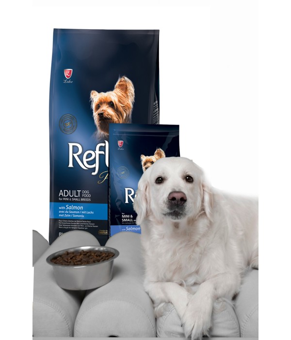 Reflex Plus Mini Küçük Irk Yetişkin Köpekler İçin 3 kg Somonlu Kuru Mama - RFX - 104