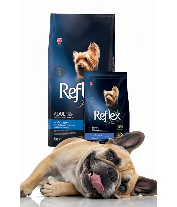 Reflex Plus Mini Küçük Irk Yetişkin Köpekler İçin 3 kg Somonlu Kuru Mama - RFX - 104