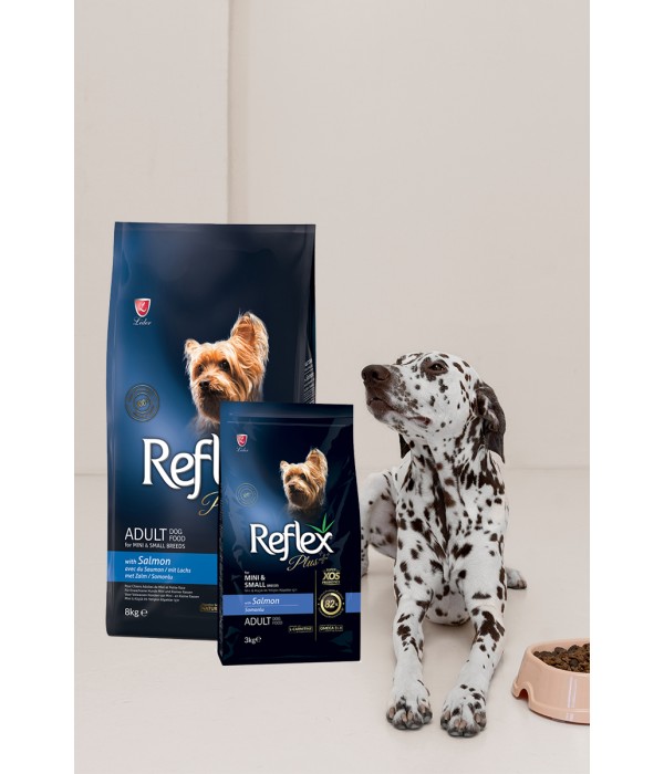 Reflex Plus Mini Küçük Irk Yetişkin Köpekler İçin 3 kg Somonlu Kuru Mama - RFX - 104