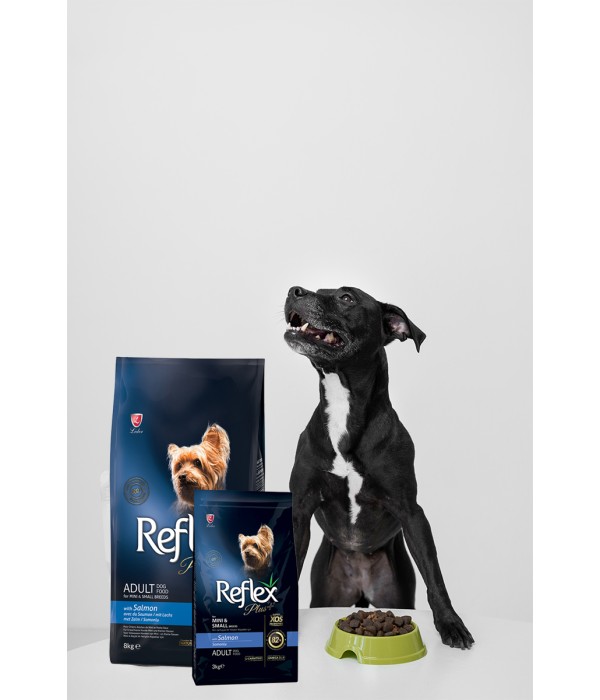 Reflex Plus Mini Küçük Irk Yetişkin Köpekler İçin 3 kg Somonlu Kuru Mama - RFX - 104