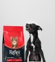 Reflex Plus Çok Küçük Irk Yetişkin Köpekler İçin 1 5 kg Kuzu Etli Kuru Mama - RFX - 109 Reflex Plus Çok Küçük Irk Yetişkin Köpekler İçin 1 5 kg Kuzu Etli Kuru Mama - RFX - 109