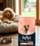 Reflex Plus Mini Küçük Irk Kısırlaştırılmış Yetişkin Köpekler İçin 3 kg Kuzu Etli Kuru Mama - RFX - 110 Reflex Plus Mini Küçük Irk Kısırlaştırılmış Yetişkin Köpekler İçin 3 kg Kuzu Etli Kuru Mama - RFX - 110