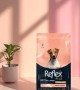 Reflex Plus Mini Küçük Irk Kısırlaştırılmış Yetişkin Köpekler İçin 3 kg Kuzu Etli Kuru Mama - RFX - 110 Reflex Plus Mini Küçük Irk Kısırlaştırılmış Yetişkin Köpekler İçin 3 kg Kuzu Etli Kuru Mama - RFX - 110