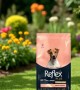 Reflex Plus Mini Küçük Irk Kısırlaştırılmış Yetişkin Köpekler İçin 3 kg Kuzu Etli Kuru Mama - RFX - 110 Reflex Plus Mini Küçük Irk Kısırlaştırılmış Yetişkin Köpekler İçin 3 kg Kuzu Etli Kuru Mama - RFX - 110