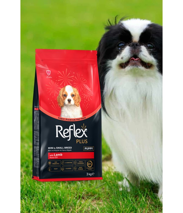 Reflex Plus Küçük ve Mini Irk Yavru Köpekler İçin 3 kg Kuzu Etli Kuru Mama - RFX - 111 Reflex Plus Küçük ve Mini Irk Yavru Köpekler İçin 3 kg Kuzu Etli Kuru Mama - RFX - 111