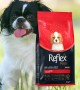 Reflex Plus Küçük ve Mini Irk Yavru Köpekler İçin 3 kg Kuzu Etli Kuru Mama - RFX - 111 Reflex Plus Küçük ve Mini Irk Yavru Köpekler İçin 3 kg Kuzu Etli Kuru Mama - RFX - 111