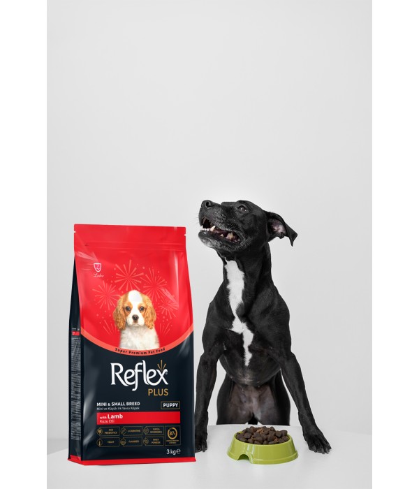 Reflex Plus Küçük Mini Irk Yetişkin Köpekler İçin 3 kg Kuzu Etli Kuru Mama - RFX - 112 Reflex Plus Küçük Mini Irk Yetişkin Köpekler İçin 3 kg Kuzu Etli Kuru Mama - RFX - 112
