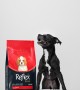 Reflex Plus Küçük Mini Irk Yetişkin Köpekler İçin 3 kg Kuzu Etli Kuru Mama - RFX - 112 Reflex Plus Küçük Mini Irk Yetişkin Köpekler İçin 3 kg Kuzu Etli Kuru Mama - RFX - 112