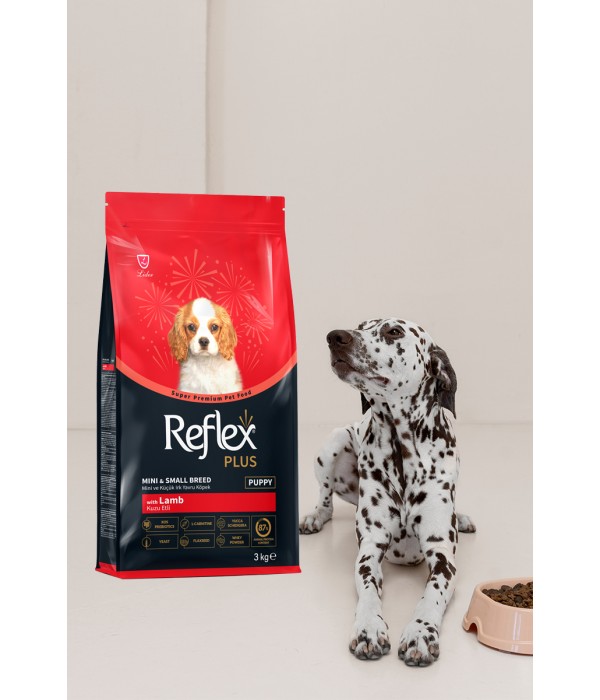 Reflex Plus Küçük Mini Irk Yetişkin Köpekler İçin 3 kg Kuzu Etli Kuru Mama - RFX - 112 Reflex Plus Küçük Mini Irk Yetişkin Köpekler İçin 3 kg Kuzu Etli Kuru Mama - RFX - 112