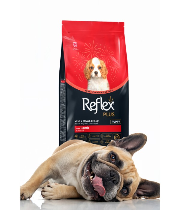 Reflex Plus Küçük Mini Irk Yetişkin Köpekler İçin 3 kg Kuzu Etli Kuru Mama - RFX - 112 Reflex Plus Küçük Mini Irk Yetişkin Köpekler İçin 3 kg Kuzu Etli Kuru Mama - RFX - 112
