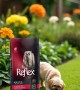 Reflex Plus Yetişkin Küçük Mini Irk Köpekler İçin 8 kg Kuzu Etli Pirinçli Kuru Mama - RFX - 120 Reflex Plus Yetişkin Küçük Mini Irk Köpekler İçin 8 kg Kuzu Etli Pirinçli Kuru Mama - RFX - 120