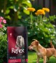 Reflex Plus Yetişkin Küçük Mini Irk Köpekler İçin 8 kg Kuzu Etli Pirinçli Kuru Mama - RFX - 120 Reflex Plus Yetişkin Küçük Mini Irk Köpekler İçin 8 kg Kuzu Etli Pirinçli Kuru Mama - RFX - 120