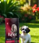 Reflex Plus Yetişkin Küçük Mini Irk Köpekler İçin 8 kg Kuzu Etli Pirinçli Kuru Mama - RFX - 120 Reflex Plus Yetişkin Küçük Mini Irk Köpekler İçin 8 kg Kuzu Etli Pirinçli Kuru Mama - RFX - 120