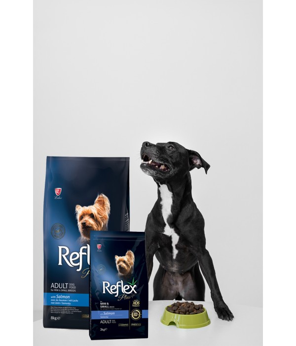 Reflex Plus Yetişkin Küçük Mini Irk Köpekler İçin 8 kg Somonlu Kuru Mama - RFX - 124 Reflex Plus Yetişkin Küçük Mini Irk Köpekler İçin 8 kg Somonlu Kuru Mama - RFX - 124