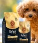 Reflex Plus Yavru Poodle Köpekler İçin 1 5 Kg Kuru Mama - RFX - 603 Reflex Plus Yavru Poodle Köpekler İçin 1 5 Kg Kuru Mama - RFX - 603