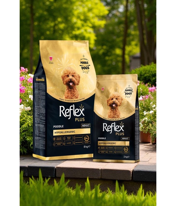 Reflex Plus Yetişkin Poodle Köpekler İçin 2kg Kuru Mama