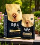 Reflex Plus Yetişkin Poodle Köpekler İçin 2kg Kuru Mama