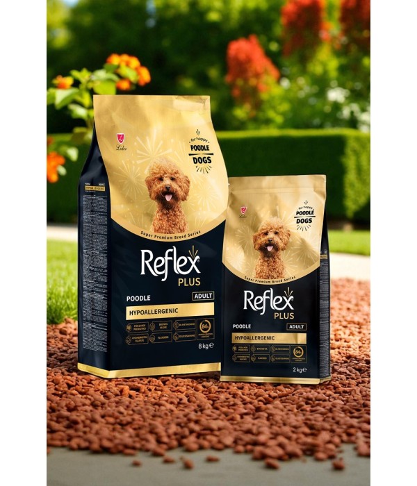 Reflex Plus Yetişkin Poodle Köpekler İçin 2kg Kuru Mama