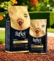 Reflex Plus Yetişkin Poodle Köpekler İçin 2kg Kuru Mama