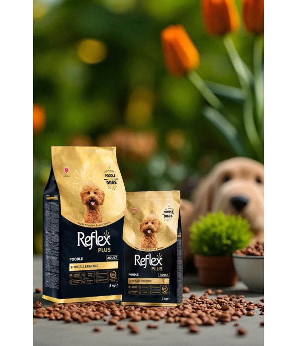 Reflex Plus Yetişkin Poodle Köpekler İçin 2kg Kuru Mama