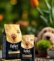 Reflex Plus Yetişkin Poodle Köpekler İçin 2kg Kuru Mama