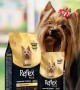 Reflex Plus Yetişkin Yorkshire Terrier Köpekler İçin 2 kg Kuru Mama - RFX - 605 Reflex Plus Yetişkin Yorkshire Terrier Köpekler İçin 2 kg Kuru Mama - RFX - 605