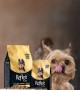 Reflex Plus Yavru Yorkshire Terrier Köpekler İçin 1 5 kg Kuru Mama - RFX - 606 Reflex Plus Yavru Yorkshire Terrier Köpekler İçin 1 5 kg Kuru Mama - RFX - 606