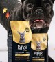 Reflex Plus Yavru French Bulldog Köpekler İçin 1 5 kg Kuru Mama - RFX - 607 Reflex Plus Yavru French Bulldog Köpekler İçin 1 5 kg Kuru Mama - RFX - 607