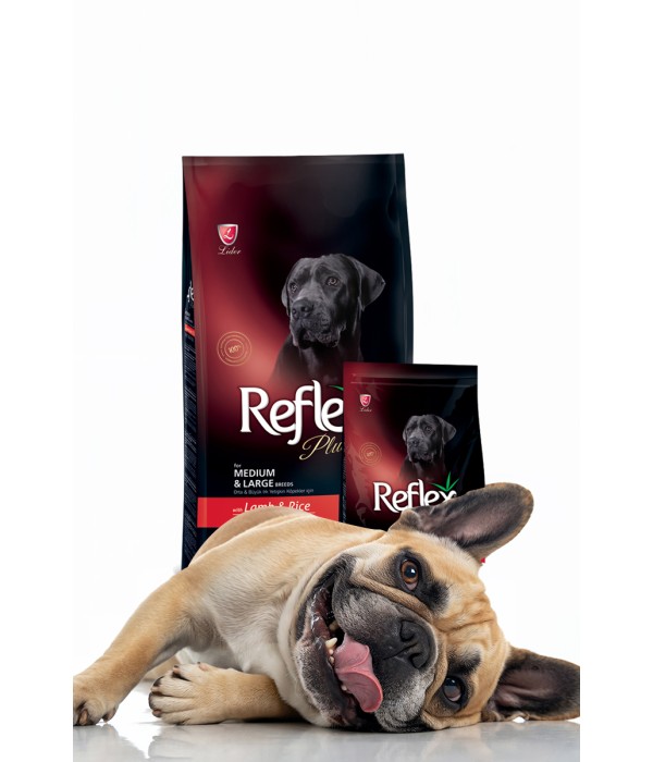 Reflex Plus Orta ve Büyük Irk Yetişkin Köpekler İçin 3 kg Kuzu Etli Kuru Mama - RFX - 105 Reflex Plus Orta ve Büyük Irk Yetişkin Köpekler İçin 3 kg Kuzu Etli Kuru Mama - RFX - 105